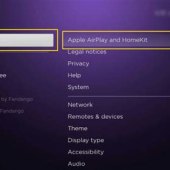Can I Screen Mirror From Ipad To Roku Tv